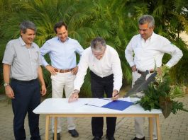 Daniel Haime Gutt, Rafael Simon del Castillo