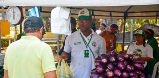 Mercados campesinos en Cartagena.