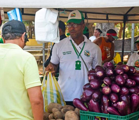 Mercados campesinos en Cartagena.