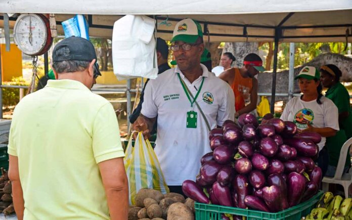 Mercados campesinos en Cartagena.