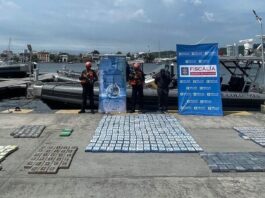 Incautados más de 460 kilogramos de cocaína