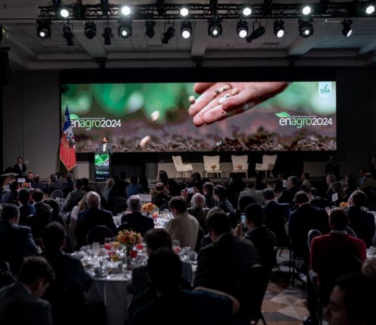 A agosto del 2024, las exportaciones agrícolas chilenas han crecido en un 9,2% en comparación con el 2023