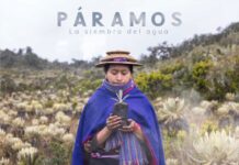 Santiago wild entrega premios a los mejores documentales de naturaleza y medio ambiente