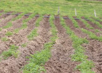 Agroindustria Colombiana reactivación economica