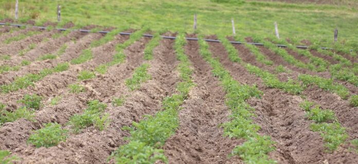 Agroindustria Colombiana reactivación economica